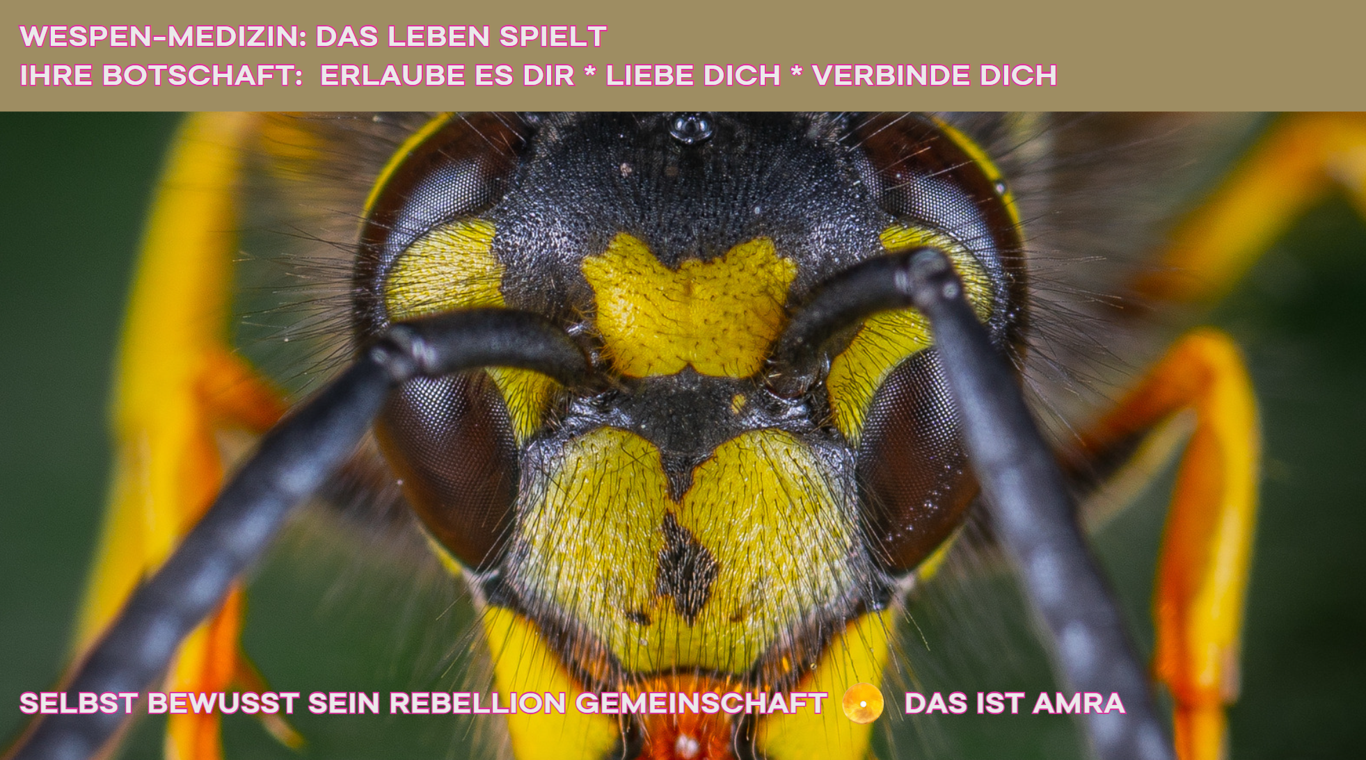 147